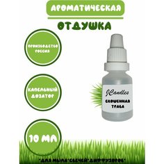 Отдушка для свечей, мыла с ароматом травы Нет бренда