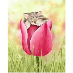 Картина по номерам Котенок в бутоне 40х50 см Hobby Home