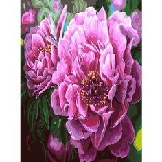 Картина по номерам Роскошные пионы 40х50 см Hobby Home