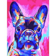 Картина по номерам Французский бульдог 40х50 см Hobby Home
