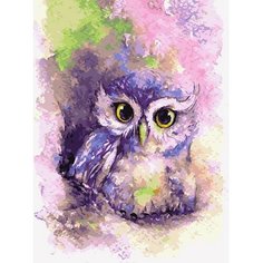 Картина по номерам Мудрая совушка 40х50 см Hobby Home