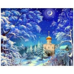 Алмазная мозаика RADUGA (Paintboy) Зимняя ночь 40х50 см