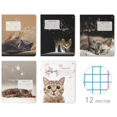 Тетрадь школьная 12 листов Альт, А5 (165 х 203 мм), "удивительные котята" 12 л, клетка, Арт. 7-12-475/1, обложка в ассортименте