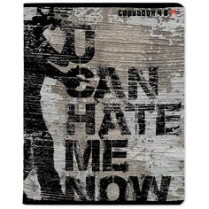 Тетрадь "Хип-хоп", 48 листов, клетка Альт