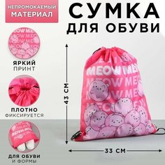 ArtFox Сумка для обуви «MEOW», болоньевая, размер 43х33х0,5 см