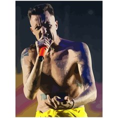 Картина по номерам на холсте Die Antwoord - 420 30X40