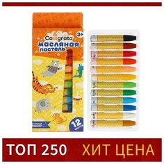 Calligrata Пастель масляная, 12 цветов, в картонной коробке, европодвес