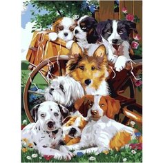 Картина по номерам Щенячья дружба 40х50 см Hobby Home