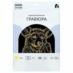 Гравюра с эффектом золота Три Совы "Корги", А4 (GA4_48269)