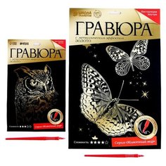 Набор гравюр «Сова и бабочки» Школа талантов
