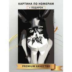 Картина по номерам Девушка в маске / A girl in a mask холст на подрамнике 40*60