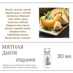 Мятная дыня, отдушка для свечей и мыла 30 мл Candle M
