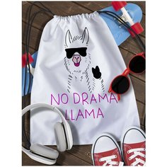 Мешок для сменной обуви Лама - 2428 Brut Boxers