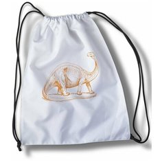 Мешок для сменной обуви Микс Динозавры - 21295 Brut Boxers