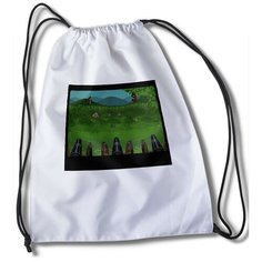 Мешок для сменной обуви с принтом Risk - 33586 Brut Boxers