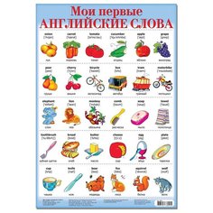 Плакат Дрофа-Медиа Мои первые английские слова-2