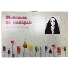Картина по номерам, "Живопись по номерам", 40 x 50, Z-AB484
