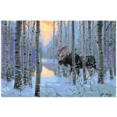 Картина по номерам, "Живопись по номерам", 40 x 60, RA033