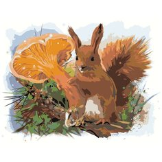 Картина по номерам, "Живопись по номерам", 40 x 50, Z-AB57