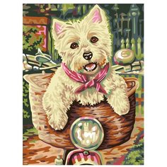 Картина по номерам, "Живопись по номерам", 45 x 60, A56, щенок, корзина, животное, шарф, велосипед, поездка