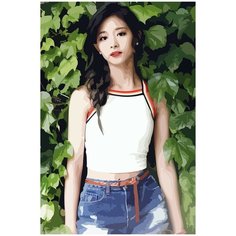 Картина по номерам на холсте TWICE Kpop Tzuyu - 49 40X60