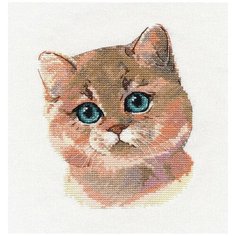 Набор для вышивания Овен "Британская короткошерстная", 13x16 см