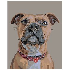 Картина по номерам, "Живопись по номерам", 60 x 75, A101, пёс, домашний, животное, бульдог