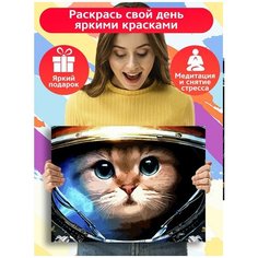 Картина по номерам космос космический кот космонавт - 6837 Г 30x40