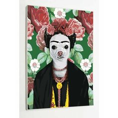 Картина по номерам Кошка Фрида Раскрасим сами