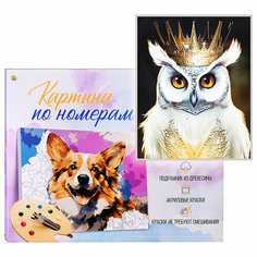 Холст с красками 40х50 см по номерам. Совиный король (в коробке) (30 цв.) Рыжий кот