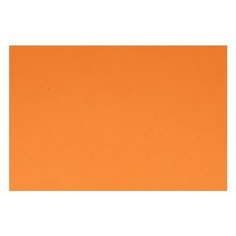 "Fabriano" Бумага для пастели "Tiziano" 160 г/м2 А4 21 х 29.7 см лист 21297121 Arancio/Оранжевый