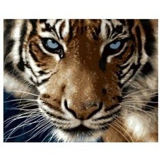 Алмазная мозаика без подрамника 30x40 см Взгляд тигра Noname