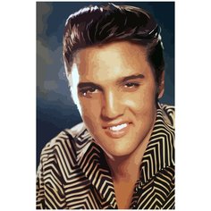 Картина по номерам на холсте Элвис Пресли - 270 40X60