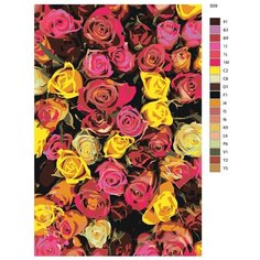 Картина по номерам S59 "Розы" 50x70 Brushes Paints