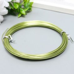 Проволока для творчества d 1мм, зеленое яблоко, рул.10 м Noname