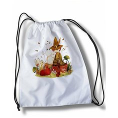 Мешок для сменной обуви Мультфильм Муми - тролли - 23287 Brut Boxers