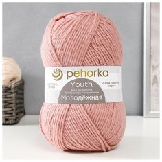 Пряжа "Молодёжная" 91% акрил, 9% полиамид 280м/200гр (1330-Темная пудра) 9460996 Пехорка