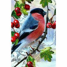 Алмазное хобби Алмазная мозаика «Зимняя птичка» 20 × 30 см
