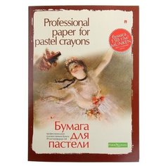 Бумага для пастели А4, 20 листов "Профессиональная серия", 150 г/м2 Альт