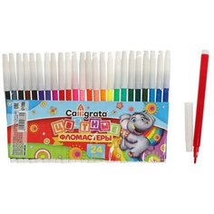 Фломастеры, 24 цвета, невентилируемый колпачок ТероПром 1014668