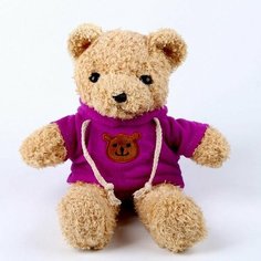 Мягкая игрушка "Медведь" в кофте, 30 см, цвет фиолетовый Made in China