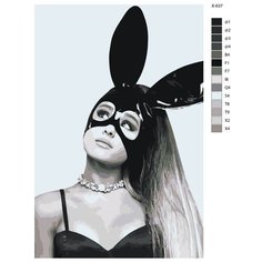 Картина по номерам X-637 "Певица Ariana Grande (Ариана Гранде)" 50х70 Brushes Paints