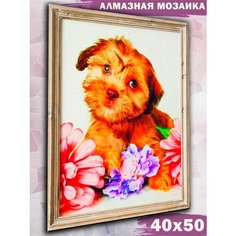 Алмазная мозаика на подрамнике Paintboy