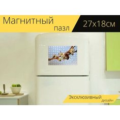 Магнитный пазл "Пчела, зимняя вишня, снежная вишня" на холодильник 27 x 18 см. Lots Prints