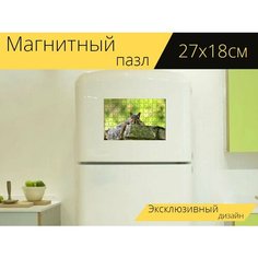 Магнитный пазл "Белка, милый, коричневый и серый" на холодильник 27 x 18 см. Lots Prints