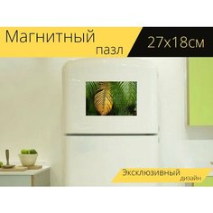 Магнитный пазл "Лист, умножения, тропический" на холодильник 27 x 18 см. Lots Prints