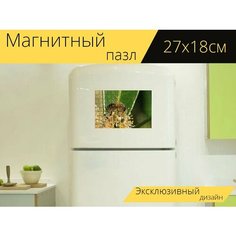 Магнитный пазл "Пчела, пчелы, макрос" на холодильник 27 x 18 см. Lots Prints