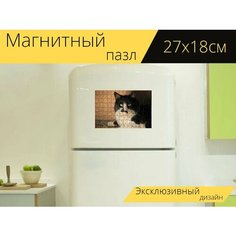 Магнитный пазл "Кот, кошачий, черное и белое" на холодильник 27 x 18 см. Lots Prints