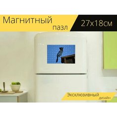 Магнитный пазл "Сойка стеллера, дикая птица, птица" на холодильник 27 x 18 см. Lots Prints