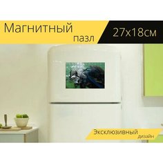 Магнитный пазл "Ныряльщик, дайвинг, подводное плавание" на холодильник 27 x 18 см. Lots Prints